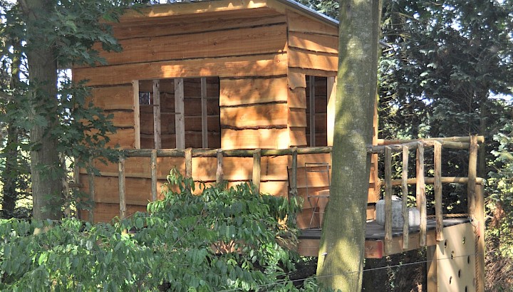 Photo 3 cabane ds les bois en mélèze